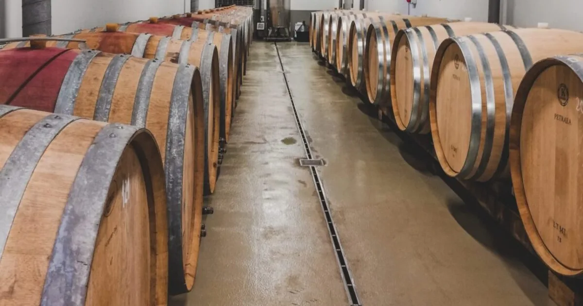 Viñedos y bodegas en Aragón